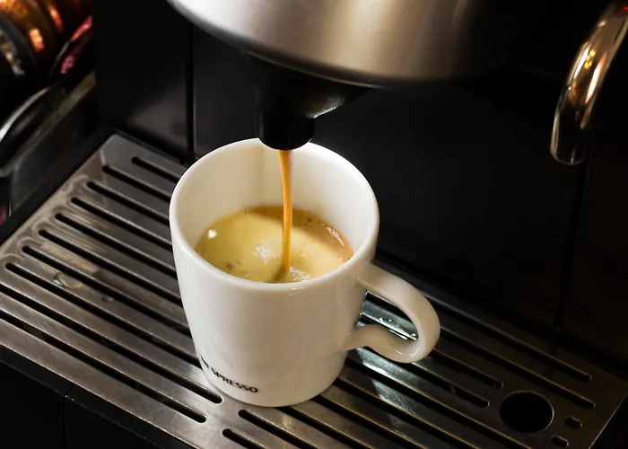 샤티용 몽파르나스